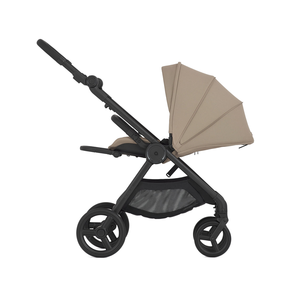 Anex iQ Basic (diverse Farben)