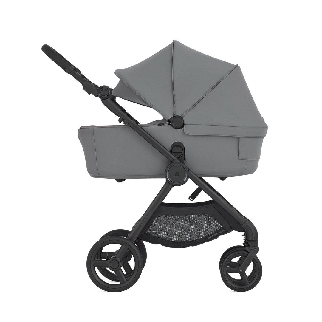 Anex iQ Basic (diverse Farben)