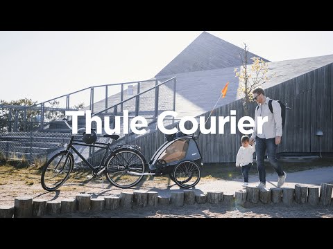 Thule Courier (vintage green)