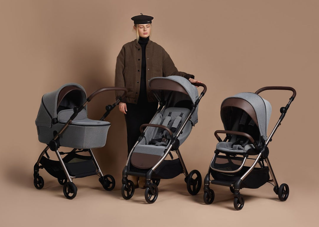 Anex iQ Premium Kollektion 2026 (diverse Farben)