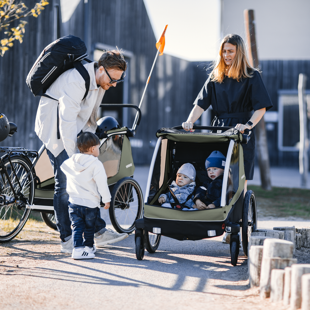 Thule Courier (vintage green)