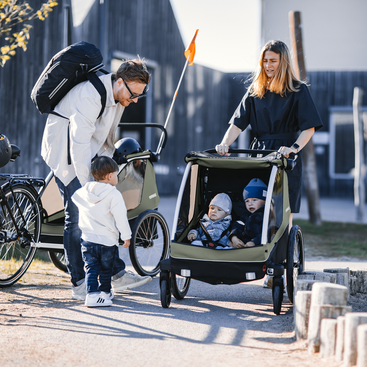 Thule Courier (vintage green)