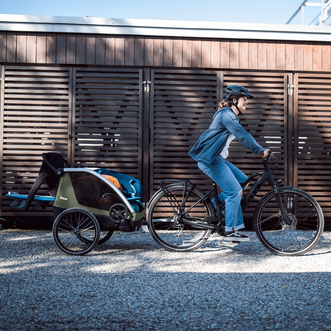 Thule Courier (vintage green)