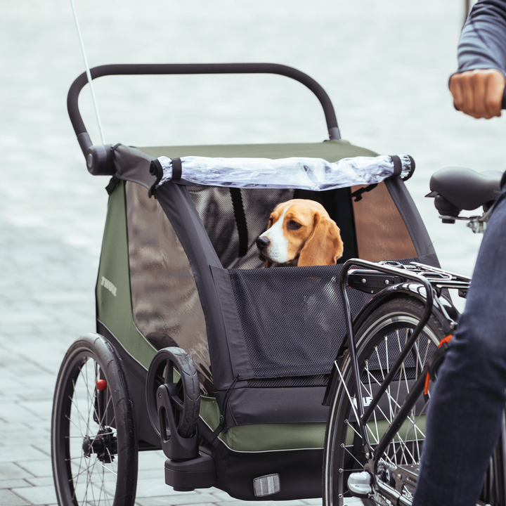 Thule Courier (vintage green)
