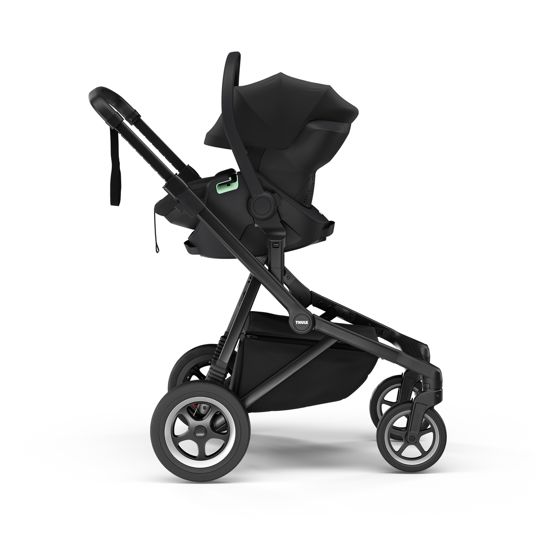 Thule Maple (various colours)