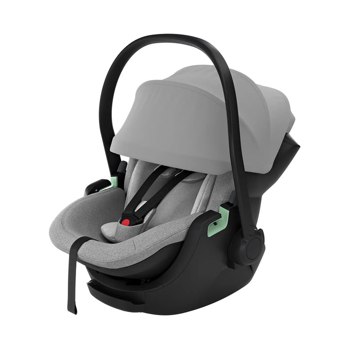 Thule Maple (various colours)