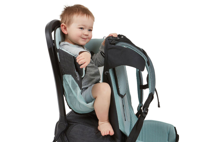 Thule Sapling back carrier (black) including rain cover