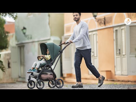 Maxi Cosi Leona 2 (various colors) 