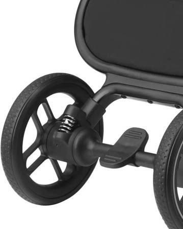 Maxi Cosi Leona 2 (various colors) 